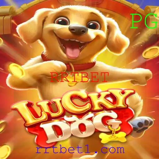 LuckyDog: Descubra as Regras e Surpresas do Jogo de Sorte do Momento